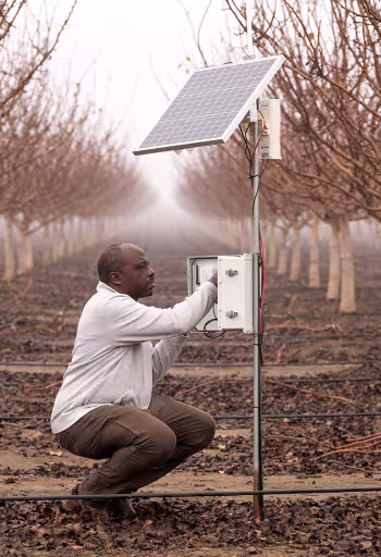 Professor checks orchard watering device