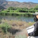 Angela Calderaro, CDFW, scans the treeline during a yellow-billed cuckoo workshop in Reno, Nevada. (Photo Credit: Lily Douglas, 