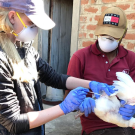 Cara Newberry sampling chicken 