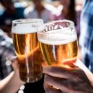 Two people clinking glasses of beer.