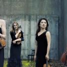 Daedalus Quartet
