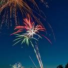 Fireworks near trees