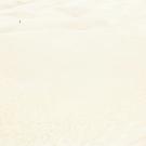 Book cover, cropped, shows tiny people.