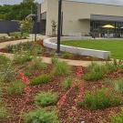 New pet-friendly garden with a veterinary medicine building in the background