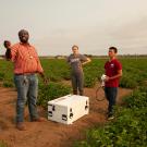 A professor and three students stand in a green field around a white box on the ground. 