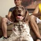 A dog sits at his owner's feet