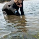 A scientist reaches into a bed of seagrass in Bodega Bay