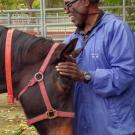 A man holds his hand to a horse's head inside a corral