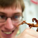 A man smiles as he examines an insect walking on his finger.