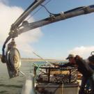 A woman hauls gear on a crab fishing boat at sea