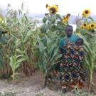 Farmer and child in field