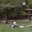 Photo: Students study on the Quad