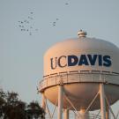 UC Davis water tower