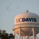 Image of water tower