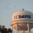Generic UC Davis image
