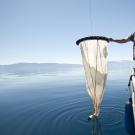Man drops net into Lake Tahoe from research vessel