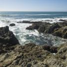 Rocky shore off Bodega Bay, California with view of Pacific Ocean