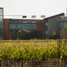 photo of Robert Mondavi Institute