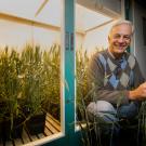 Wheat expert Jorge Dubcovsky in his laboratory. 