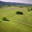 Aerial view of rangelands in Northern California