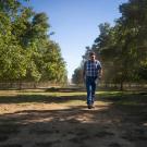 man in walnut orchard