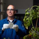 Plant scientist in lab