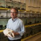 Peter Wainwright with fish skull