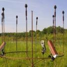 A ring of directional microphones, used to record the songs of birds in a birdcage at the center of the ring.