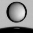 Liquid droplet