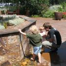 Simon Sadler, a professor in the Department of Art, Art History and Technocultural Studies, plays in the garden&rsquo;s centerpiece fountain with his children, Henry, 4, and Imogen, 2, last weekend.
