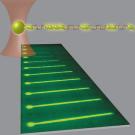 This schematic depicts molecules of the DNA repair protein, Rad51 (green ovals), assembling into a filament on an optically trapped DNA molecule. Below, a series of images shows a fluorescently labeled Rad51/DNA filament growing progressively lo