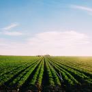 photo of farm field