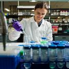 Woman in white lab coat and purple glove pipettes liquid into vials in laboratory