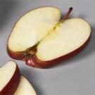 photo: apple slices