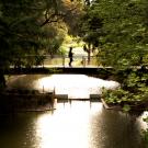 Lone person walks across bridge along Arboretum Waterway, sun shining under bridge.