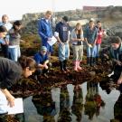 Scientist and students at ocean