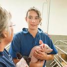 Two women talking in a swine facility while holding piglets