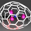 graphic: purple and blue balls inside an egg-shaped structure