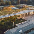 Building with natural-terrain roof