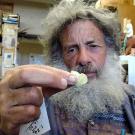 Professor Art Shapiro with the cabbage white butterfly (Pieris rapae) he caught in January 2015.