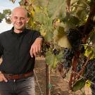 Man stands next to grapevine with dark grape clusters