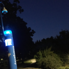 Blue light phone