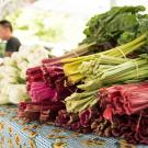 Produce on table.