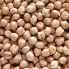 chickpeas