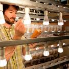 Researcher tests light bulbs