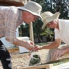 Two men in floppy canvas hats pick greens from a drying frame and place them in a plastic bag.  