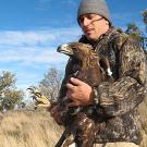 Photo: Man holding golden eagle