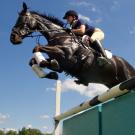 Woman on horse taking a jump