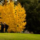 fall colors and students