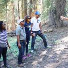 Fellows getting instruction about carbon measurement in a Tahoe Lake forest.